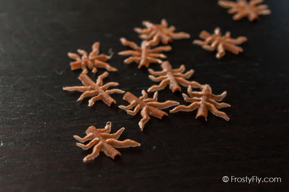 Realistic Flexy Insect Legs Nymphs & Terrestrials