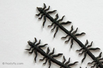 Realistic Flexy Insect Legs Nymphs & Terrestrials