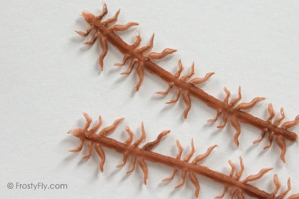 Realistic Flexy Insect Legs Nymphs & Terrestrials