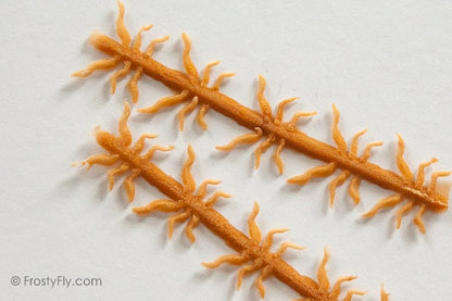 Realistic Flexy Insect Legs Nymphs & Terrestrials