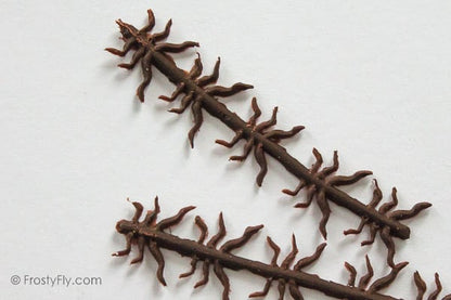 Realistic Flexy Insect Legs Nymphs & Terrestrials