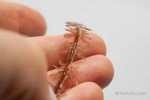 Realistic Flexy Insect Legs Nymphs & Terrestrials - the groove at the back