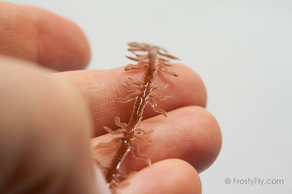 Realistic Flexy Insect Legs Nymphs & Terrestrials - the groove at the back