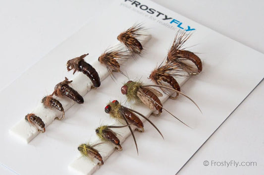 Realistic Flies - Caddis Larvae Pupa Emerger - Set of 12 Flies - Brown