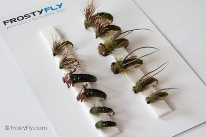 Realistic Flies - Caddis Larvae / Pupa / Emerger - Set of 12 Flies