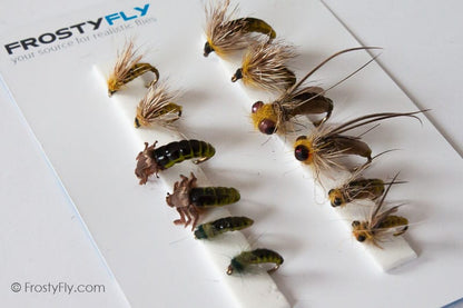 Realistic Flies - Caddis Larvae / Pupa / Emerger - Set of 12 Flies