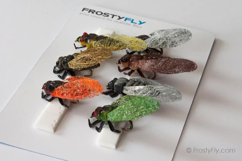 Realistic Flies - Cicadas - Set of 7 Flies