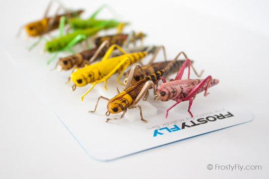 Realistic Flies - HOPPER Selection of 10 Flies - Assorted