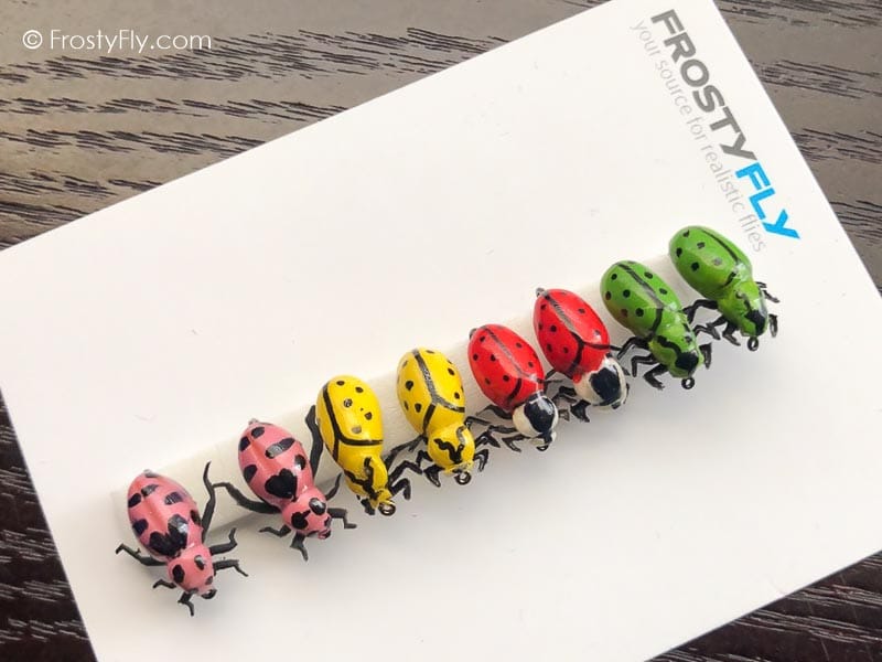 Realistic Flies - Ladybugs - Set of 8 Flies