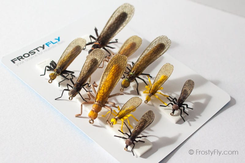 Realistic Flies - STONEFLY II Selection of 10 Flies - Assorted