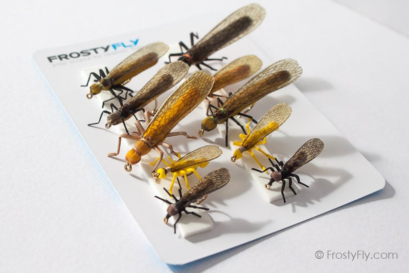 Realistic Flies - STONEFLY II Selection of 10 Flies - Assorted