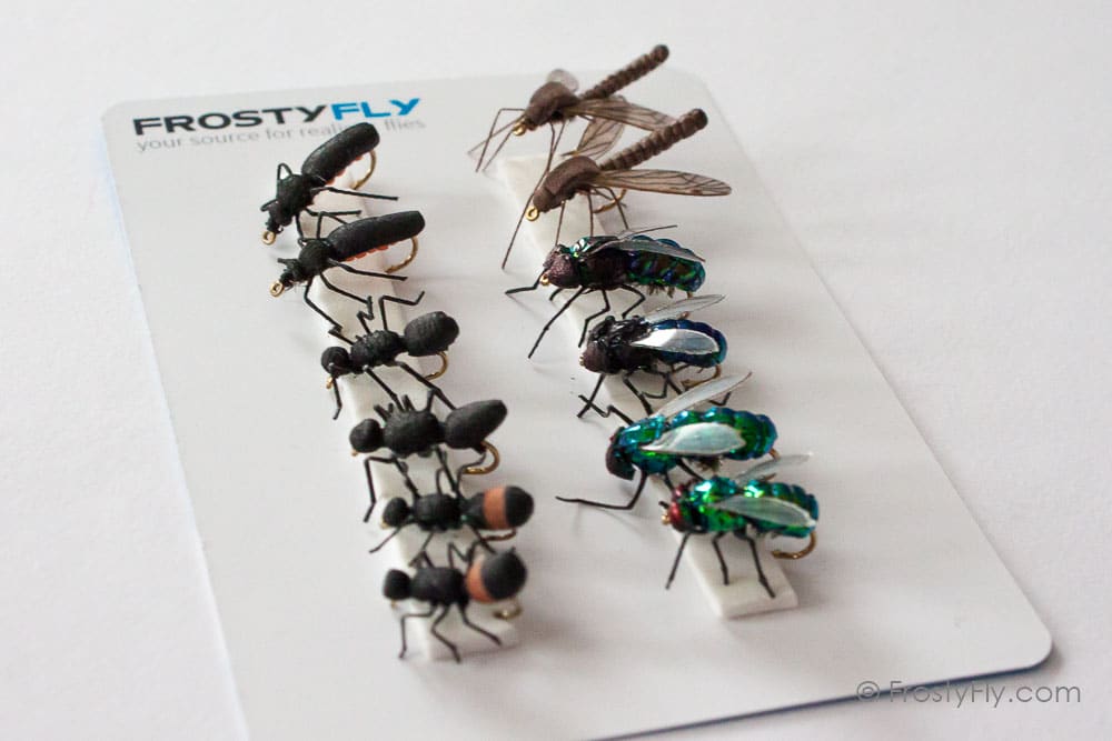 Realistic Flies - Terrestrials - Set of 12 Flies
