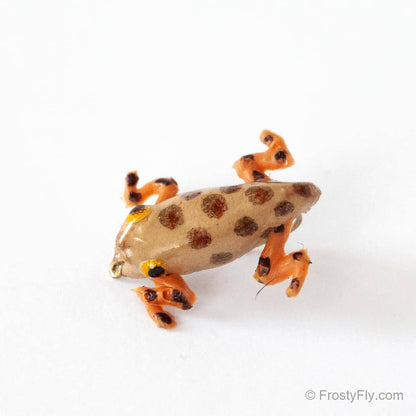 Realistic Frog Fly