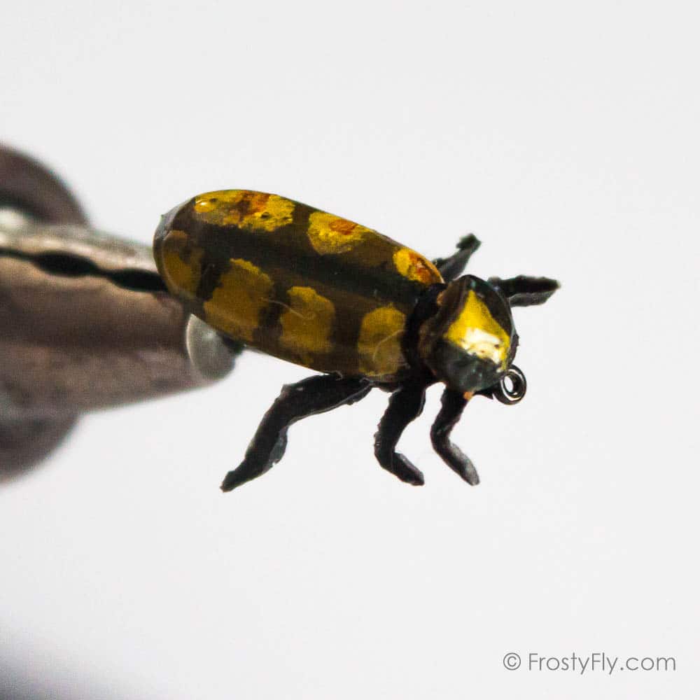 Realistic Gold Beetle Fly