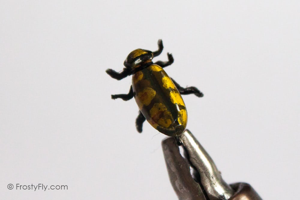 Realistic Gold Beetle Fly