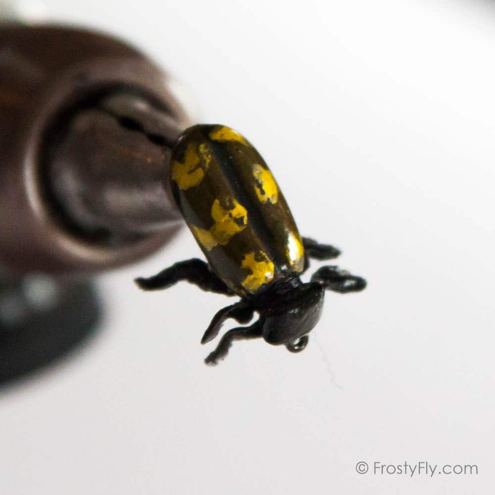 Realistic Gold Beetle Fly