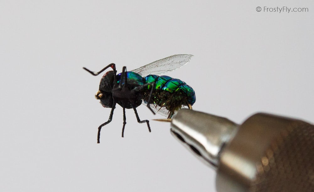 Realistic Green Bottle Fly