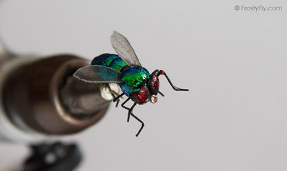Realistic Green Bottle Fly