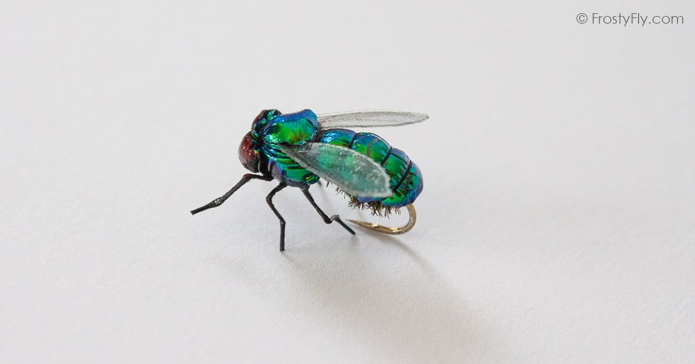 Realistic Bottle Flies - Realistic Blow Flies