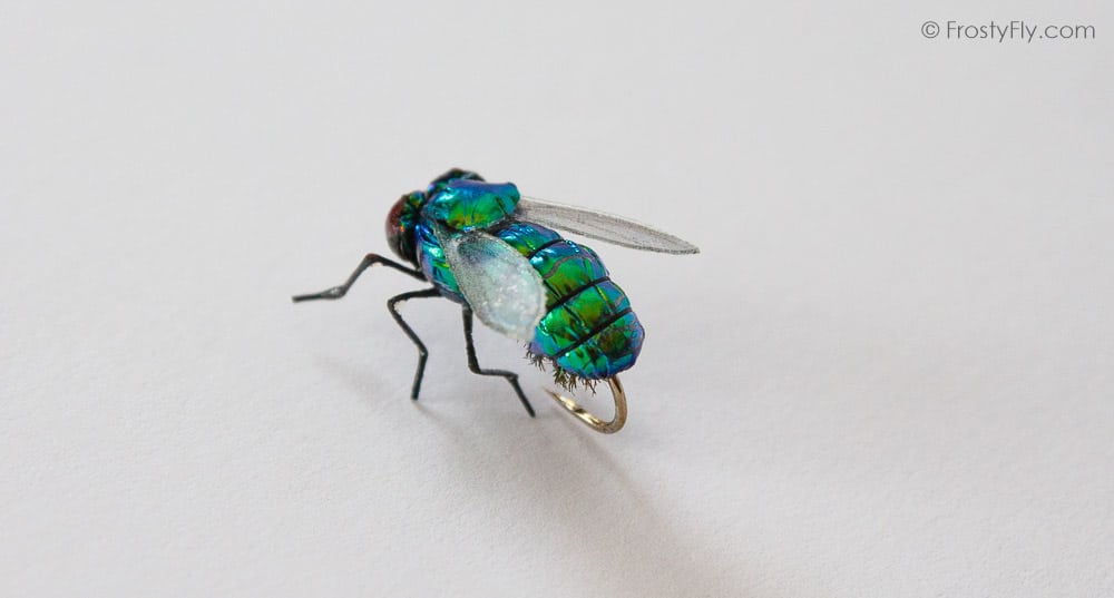Realistic Green Bottle Fly