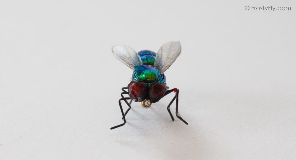Realistic Green Bottle Fly