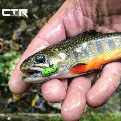 Realistic Green Ladybug Fly