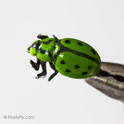 Realistic Green Ladybug Fly