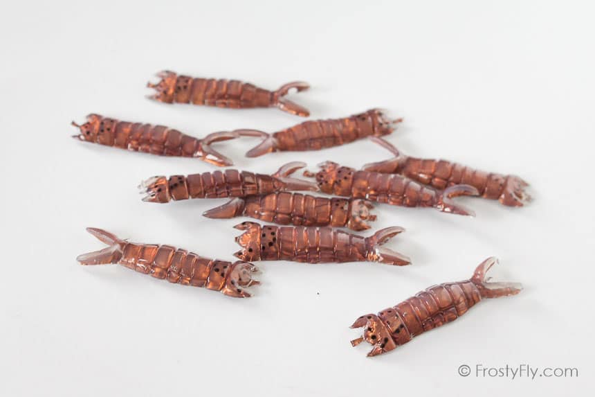 Realistic Hellgrammite Backs - Brown - 10 pieces