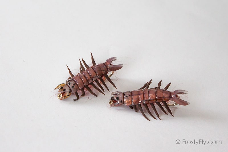 Realistic Hellgrammite Fly - Brown