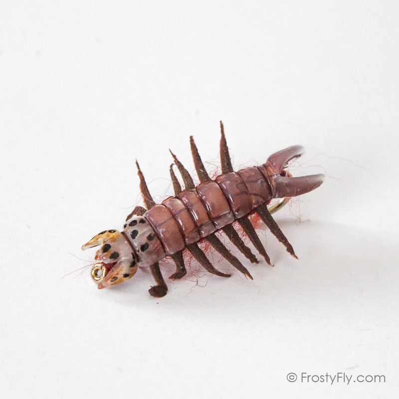 Realistic Hellgrammite Fly - Brown