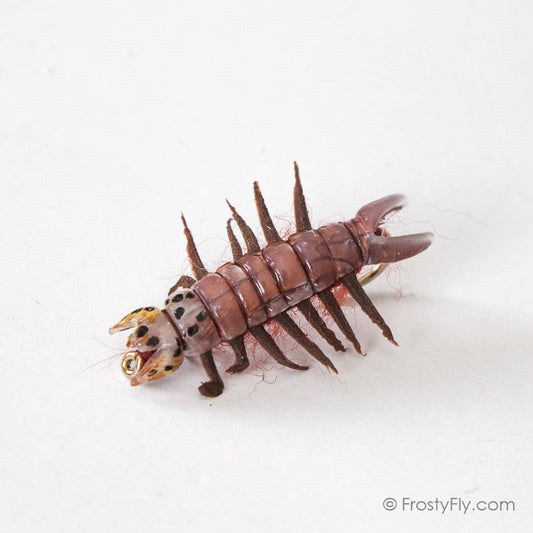 Realistic Hellgrammite Fly - Brown