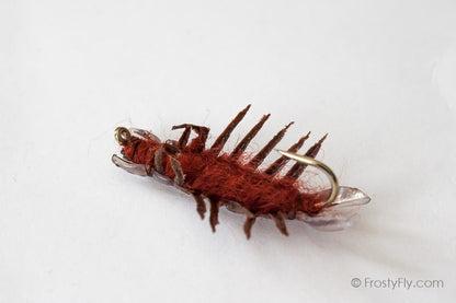 Realistic Hellgrammite Fly