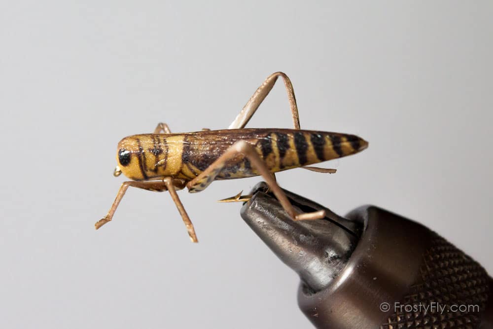 Realistic Hopper - Grasshopper