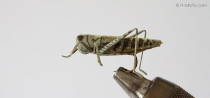 Realistic Hopper - Grasshopper