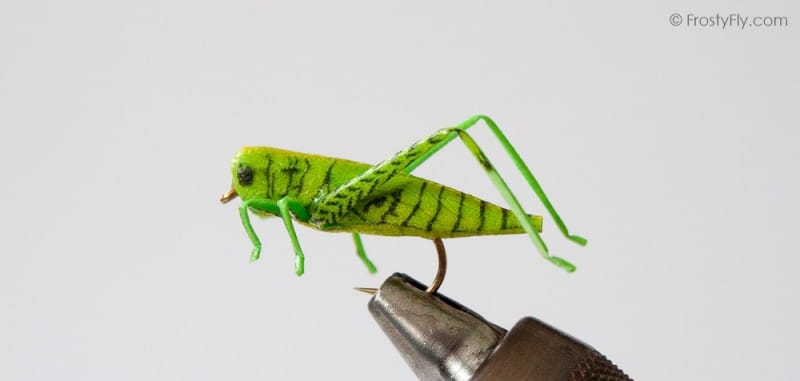 Realistic Hopper - Grasshopper