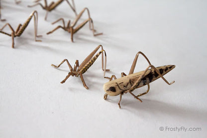 Realistic Hopper Legs 3D