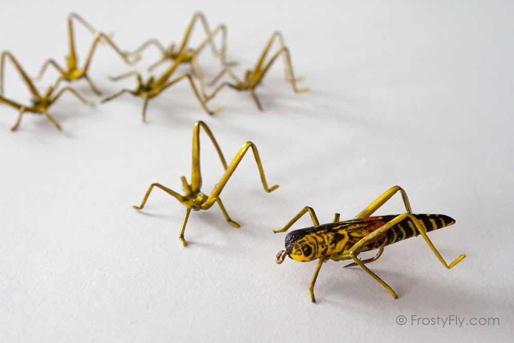 Realistic Grasshopper - floating in the water