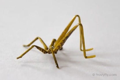 Realistic Grasshopper fly in Action