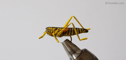 Realistic Hopper - Grasshopper