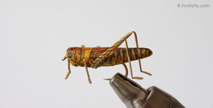 Realistic Hopper - Grasshopper