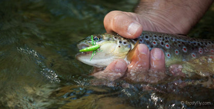 Frosty Fly Realistic Hopper - Grayling