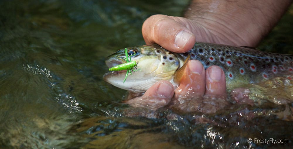 Realistic Hopper Legs 3D