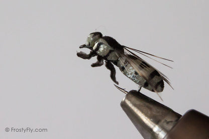 Realistic Horse Fly (Gad Fly)