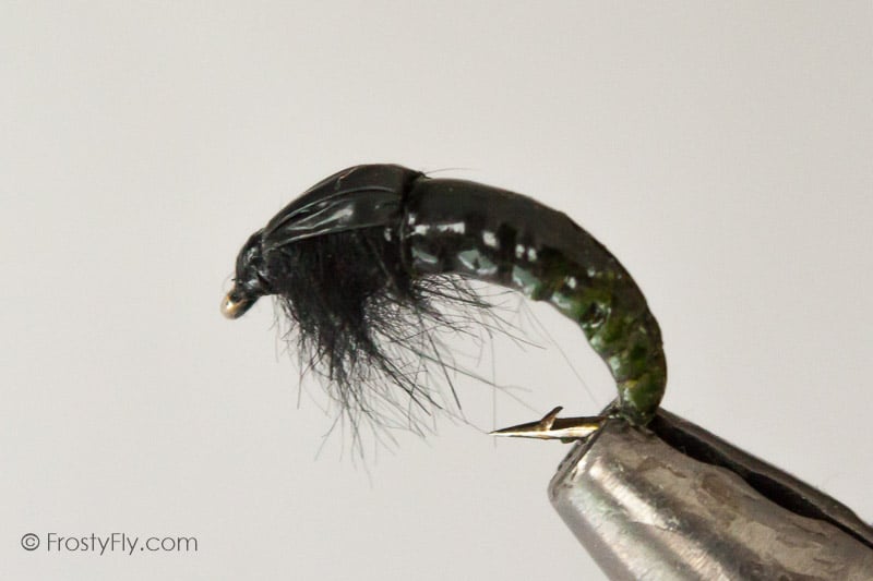 Realistic Hydropsyche Larva, Weighted