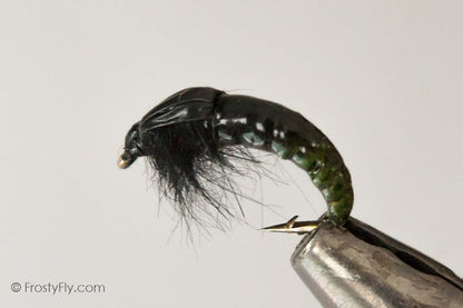 Realistic Hydropsyche Larva, Weighted