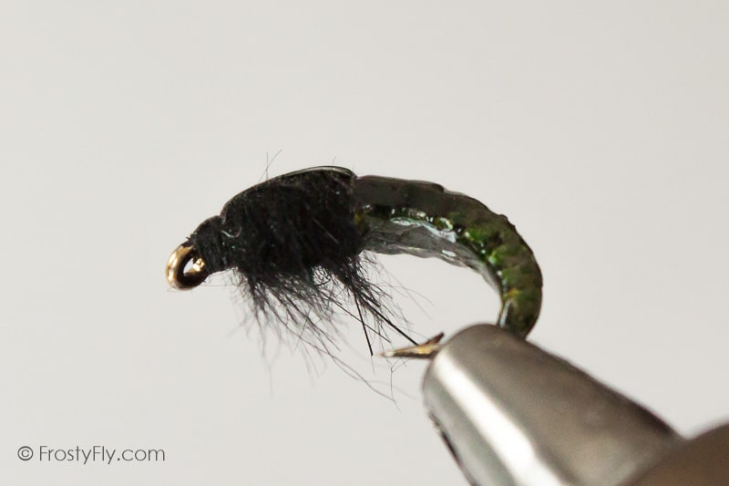 Realistic Hydropsyche Larva, Weighted