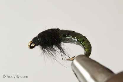 Realistic Hydropsyche Larva, Weighted