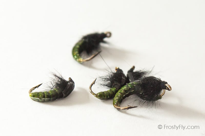 Realistic Hydropsyche Larva, Weighted