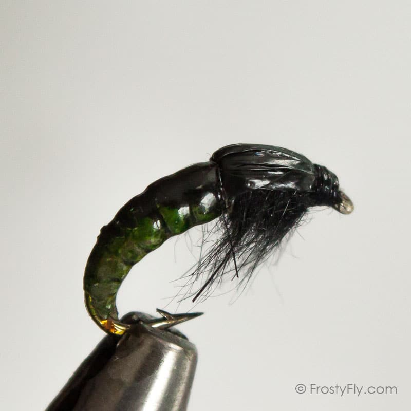 Realistic Hydropsyche Larva, Weighted