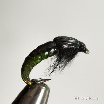 Realistic Hydropsyche Larva, Weighted